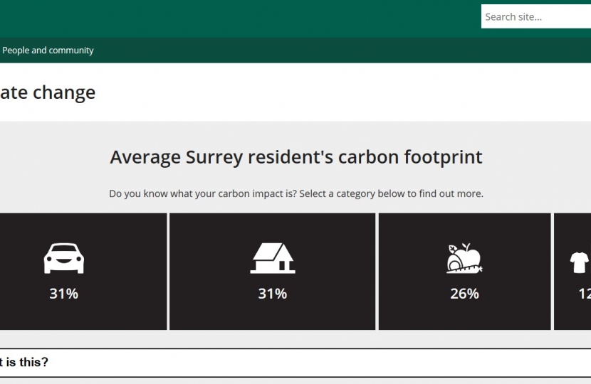 Average Carbon Use in Surrey