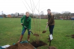 Angela Richardson MP and Cllr Matt Furniss planting a tree for Tree Week