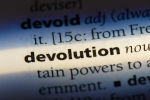 devolution word in dictionary